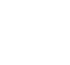 Halton Borough Council